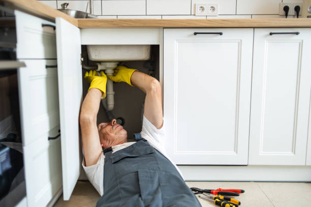 Best Local Plumber Services  in Susquehanna Trails, PA